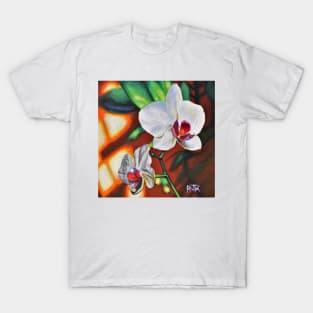 White Orchids or Phalaenopsis T-Shirt